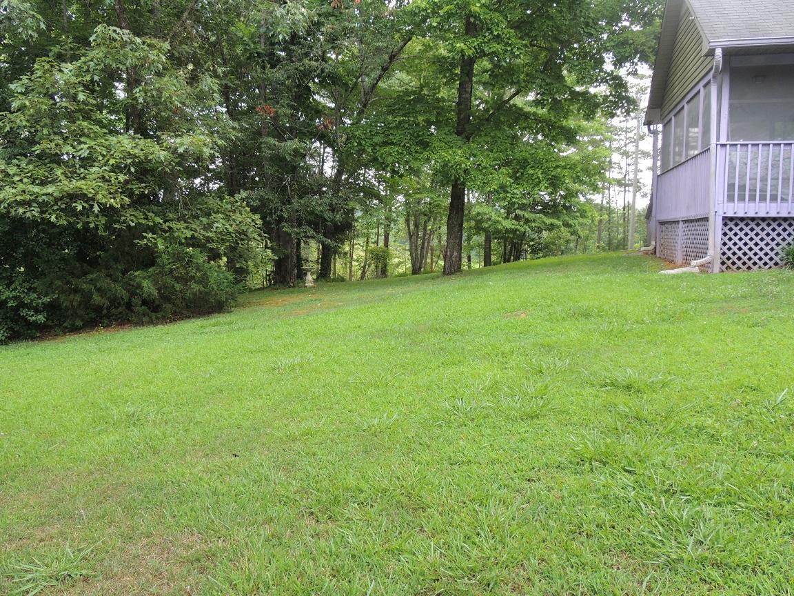 119 Dye Road Madisonville, TN 37354 - Photo 30 of 38 YARD