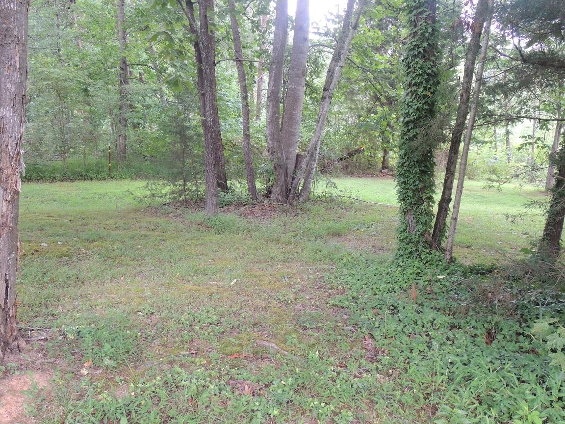 119 Dye Road Madisonville, TN 37354 - Photo 31 of 38 YARD