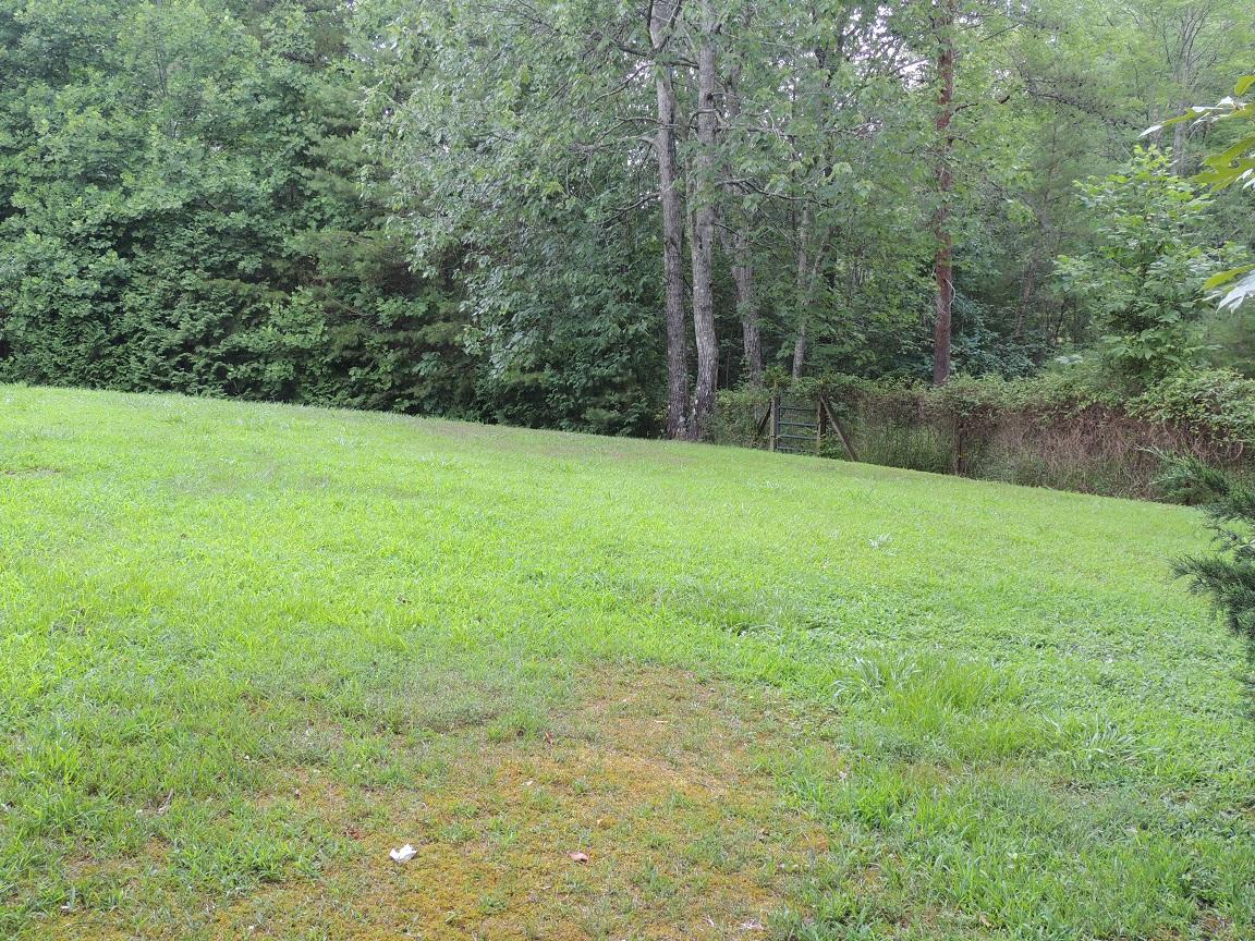 119 Dye Road Madisonville, TN 37354 - Photo 32 of 38 YARD