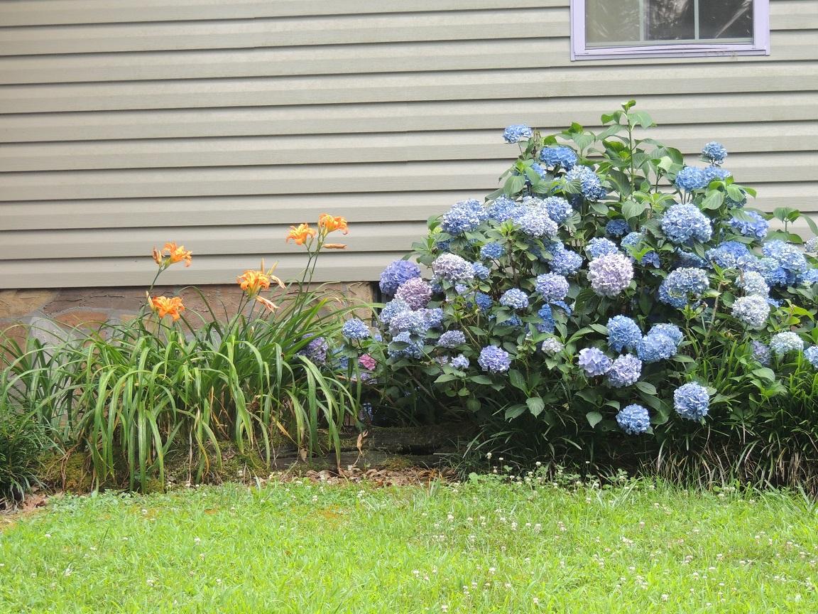 119 Dye Road Madisonville, TN 37354 - Photo 38 of 38 LANDSCAPING
