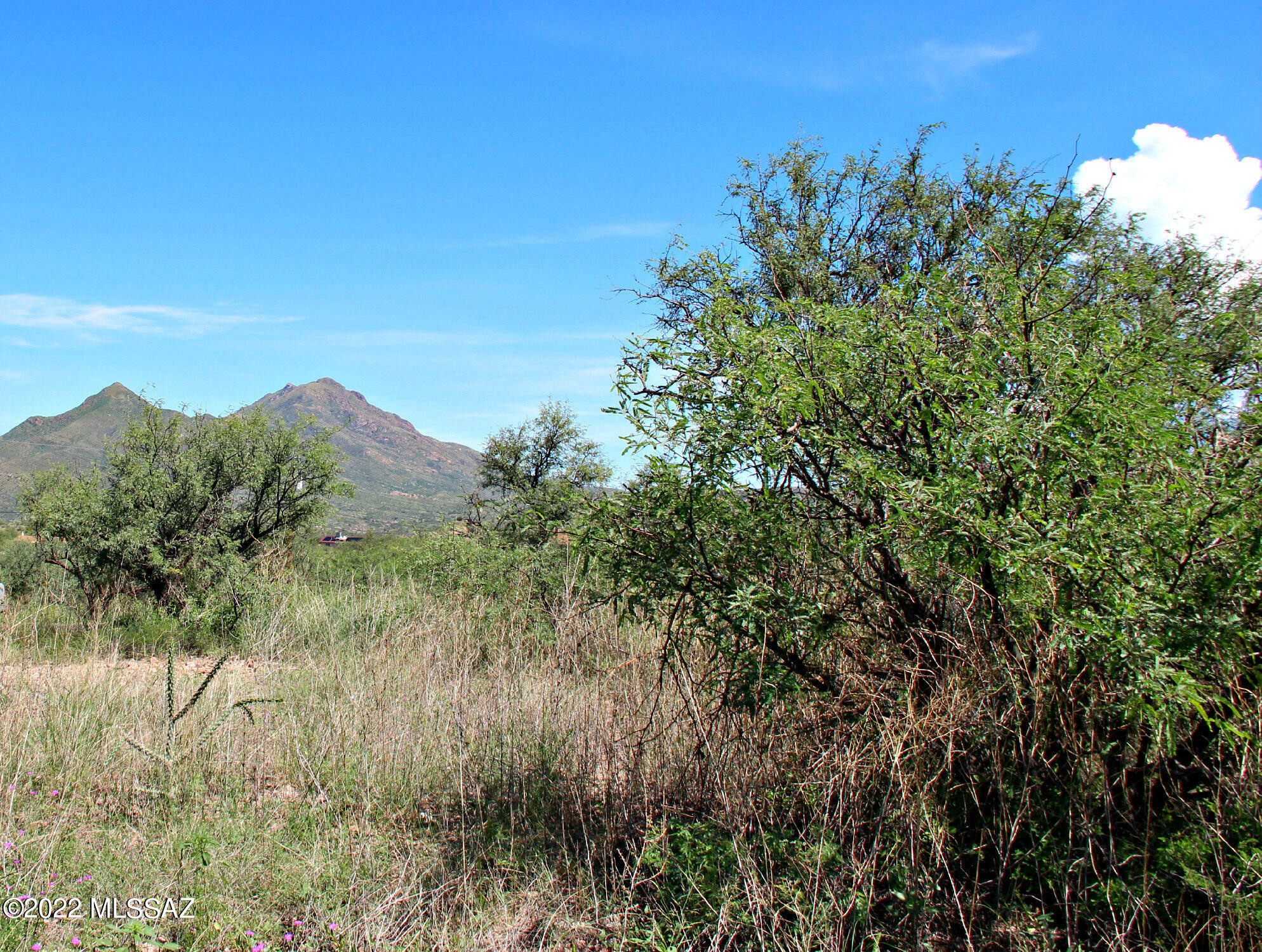 133 Paseo Mexico, Unit 43 Rio Rico, AZ 85648 - Photo 2 of 44