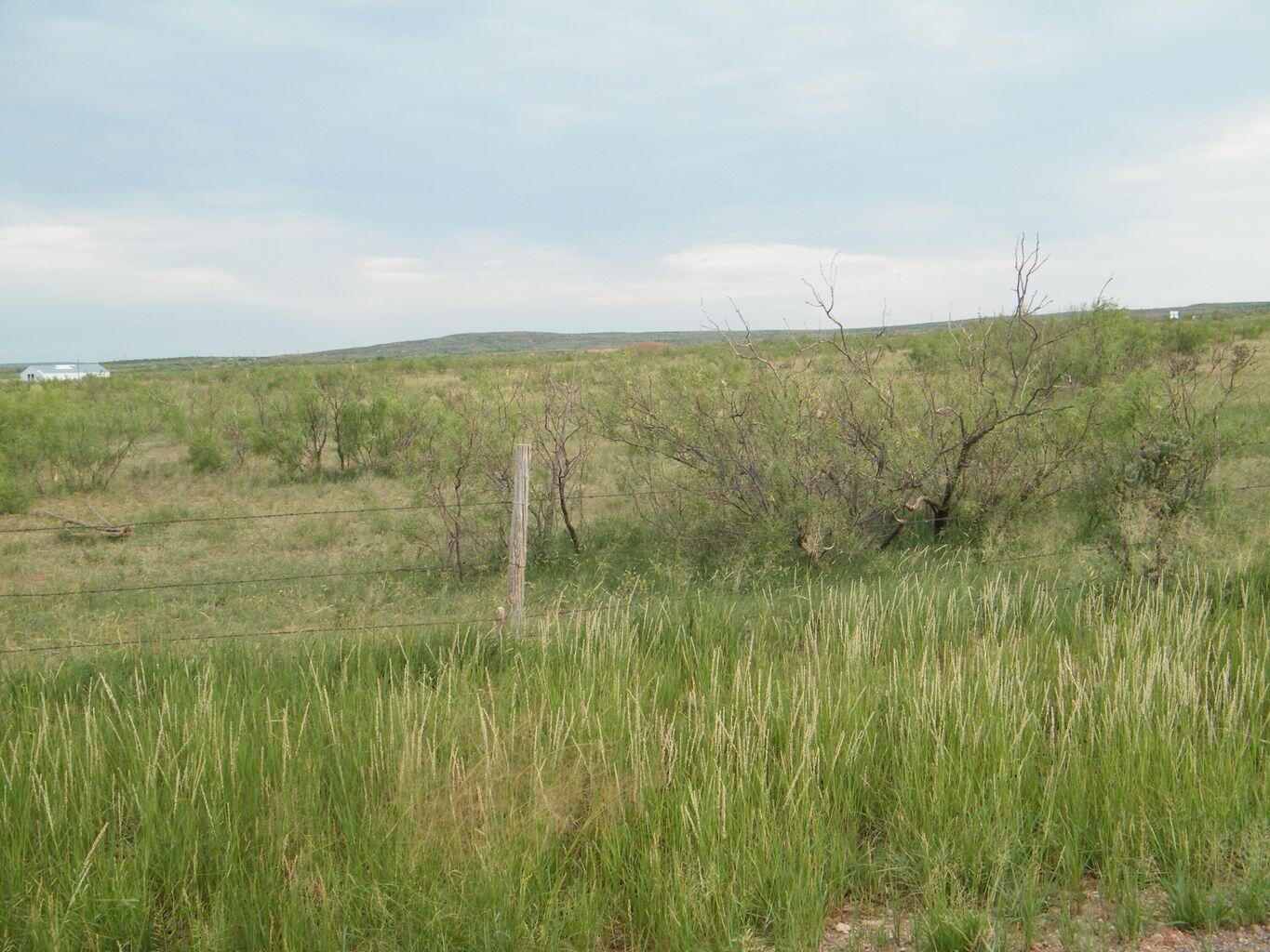 0 Gold Road Amarillo, TX 79124 - Photo 11 of 19 a view of a green field with lots of green space