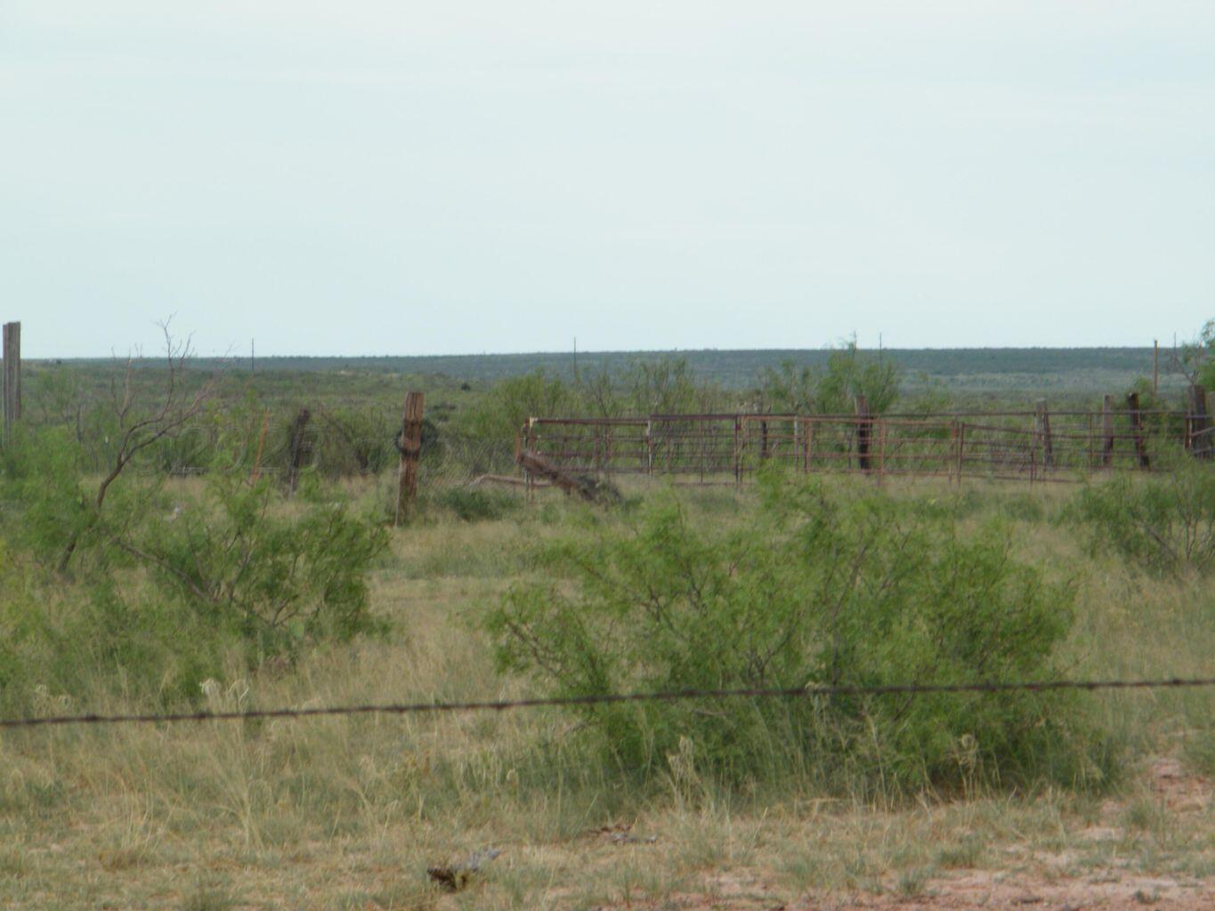 0 Gold Road Amarillo, TX 79124 - Photo 19 of 19 a view of a dry yard