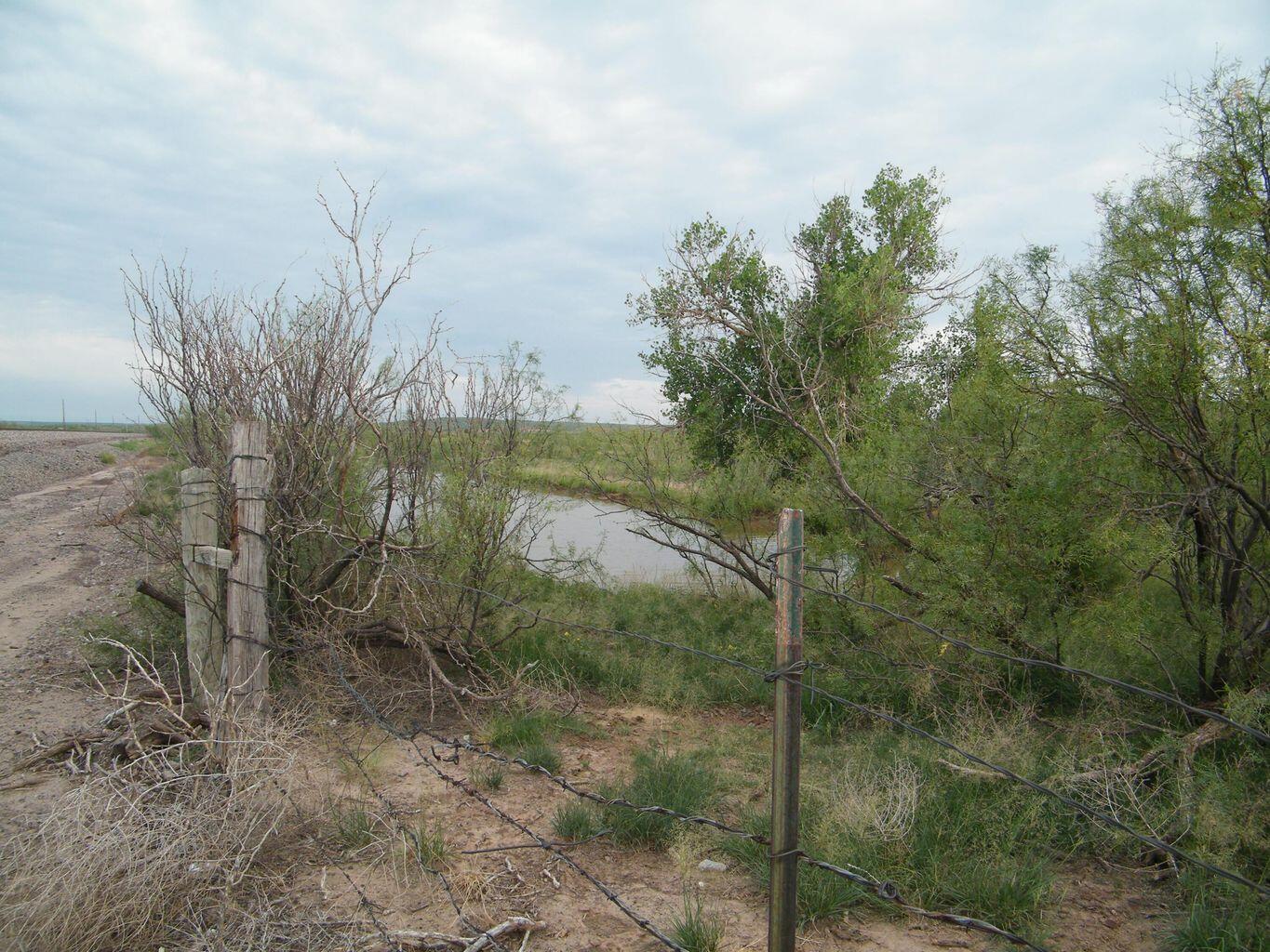 0 Gold Road Amarillo, TX 79124 - Photo 2 of 19 a view of a forest
