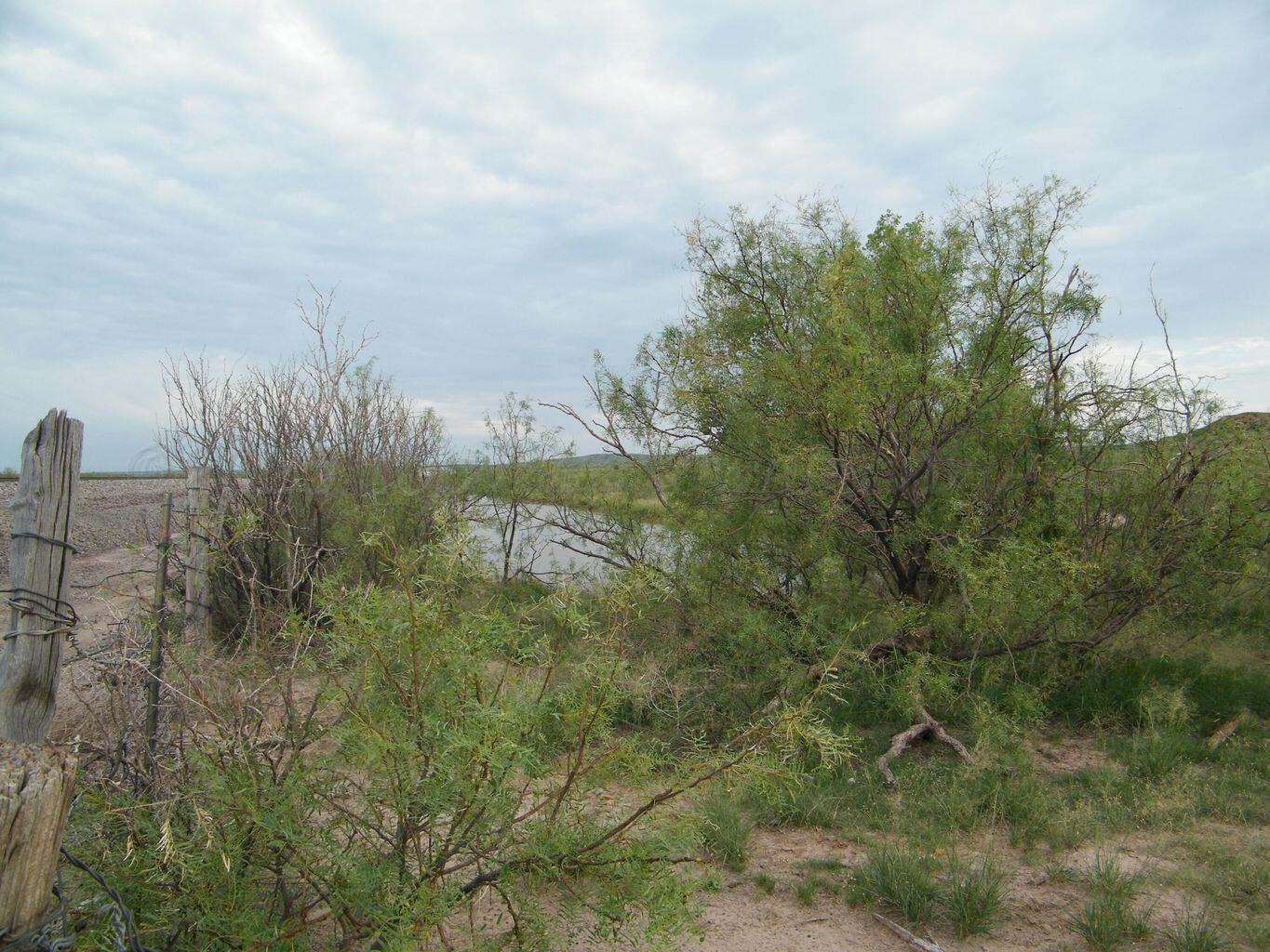 0 Gold Road Amarillo, TX 79124 - Photo 7 of 19 a view of a yard
