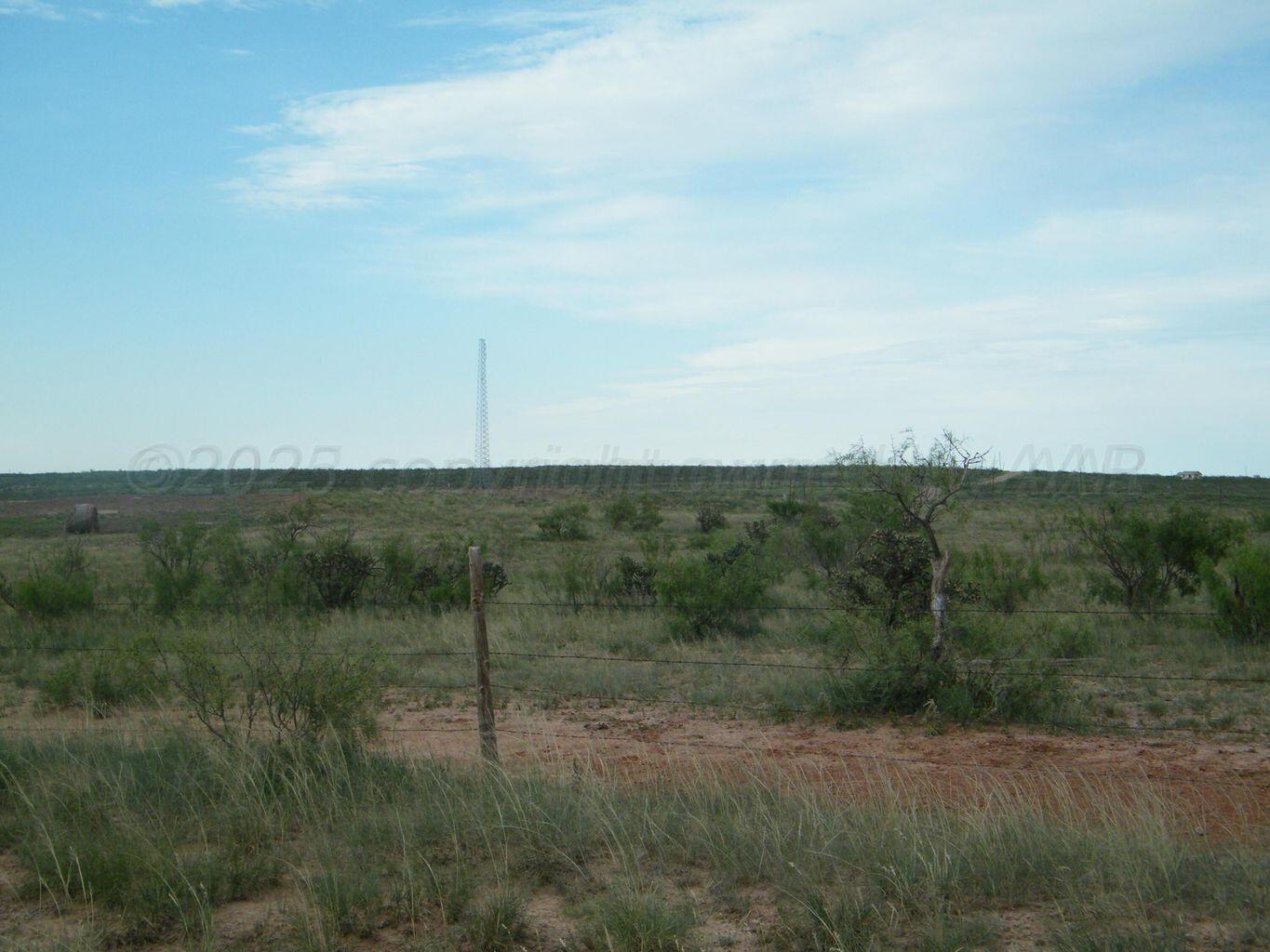 0 Gold Road Amarillo, TX 79124 - Photo 10 of 19 a view of a field of grass and trees