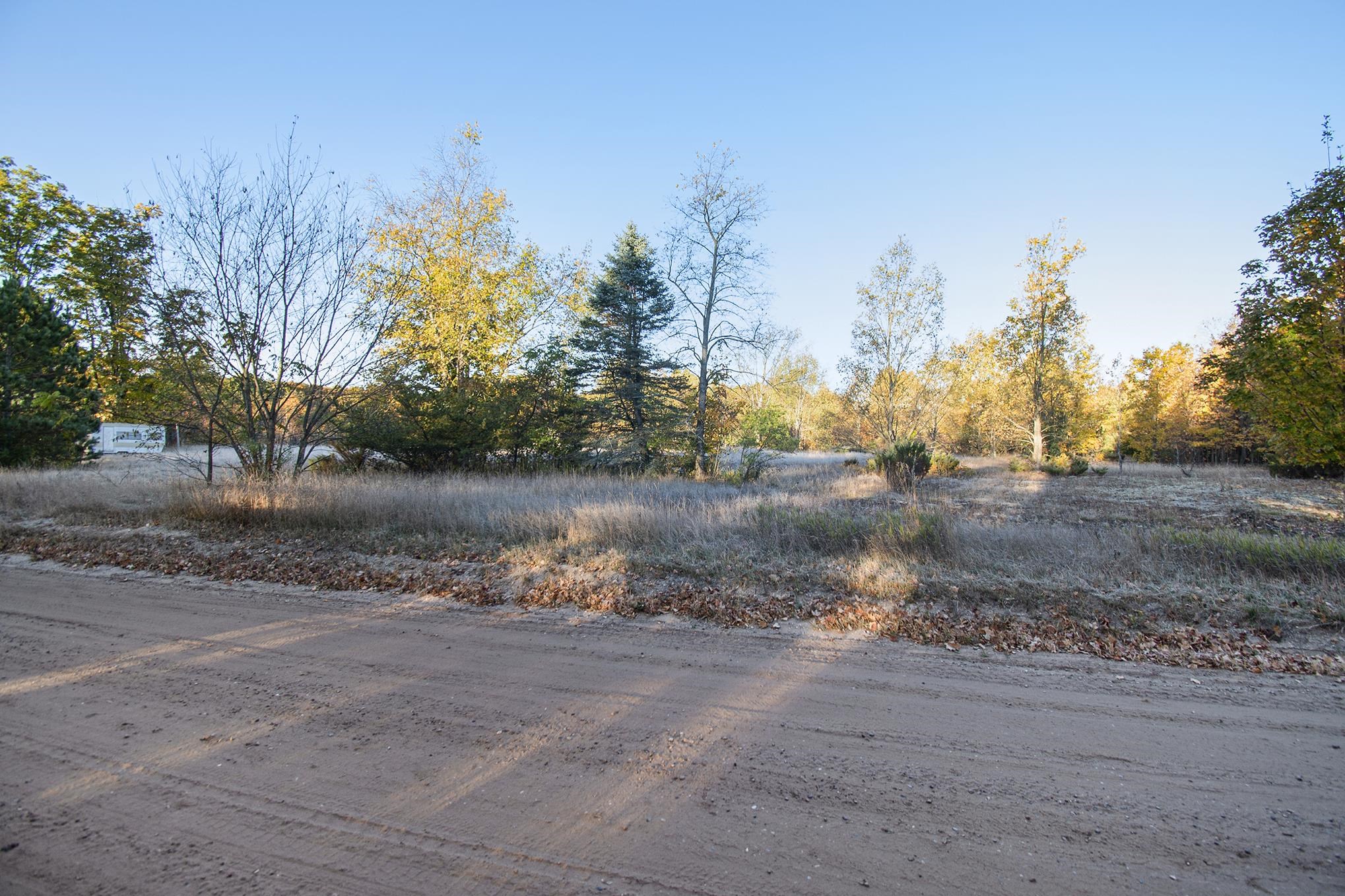 0 Pioneer Road Honor, MI 49640 - Photo 8 of 26
