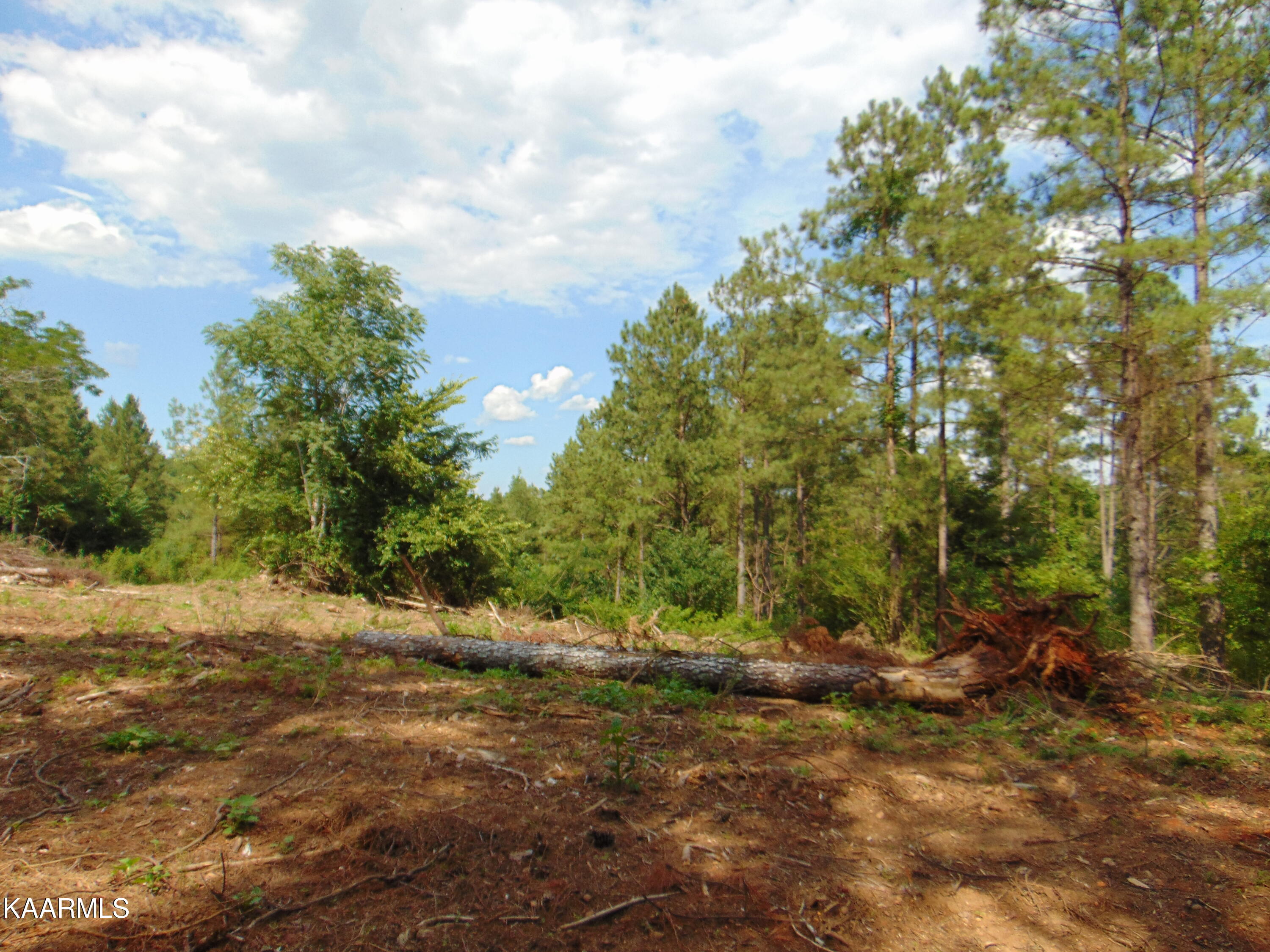 1 A Charles Road Decatur, TN 37322 - Photo 4 of 7 TR 1A Charles 2