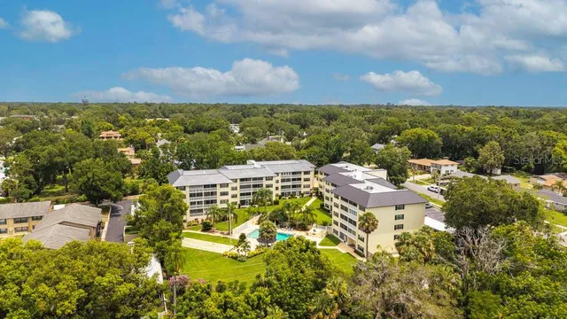 a view of a swimming pool with lawn chairs and plants