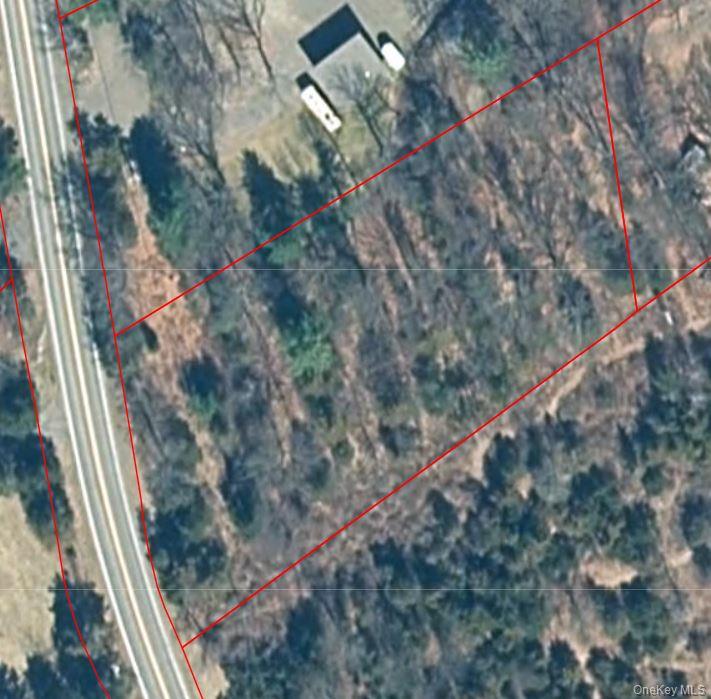 Beaver Road Red Hook, NY 12571 - Photo 6 of 6 a view of a forest