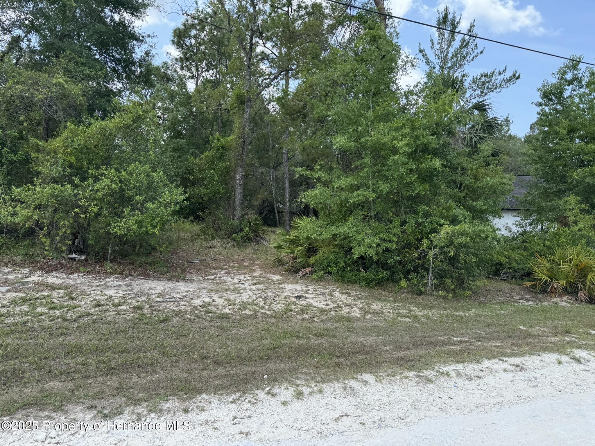 Lot 31 Senior Way Weeki Wachee, FL 34613 - Photo 4 of 7