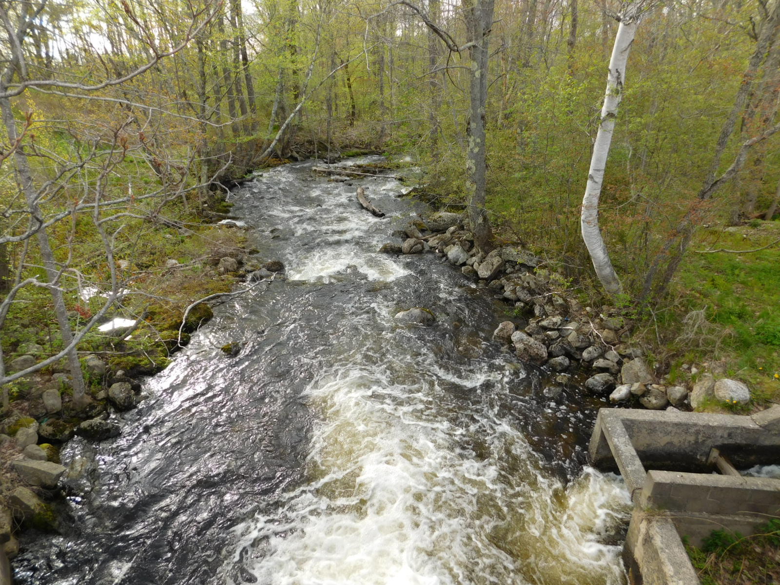 5 Hatchery Road Orland, ME 04472 - Photo 40 of 45 40