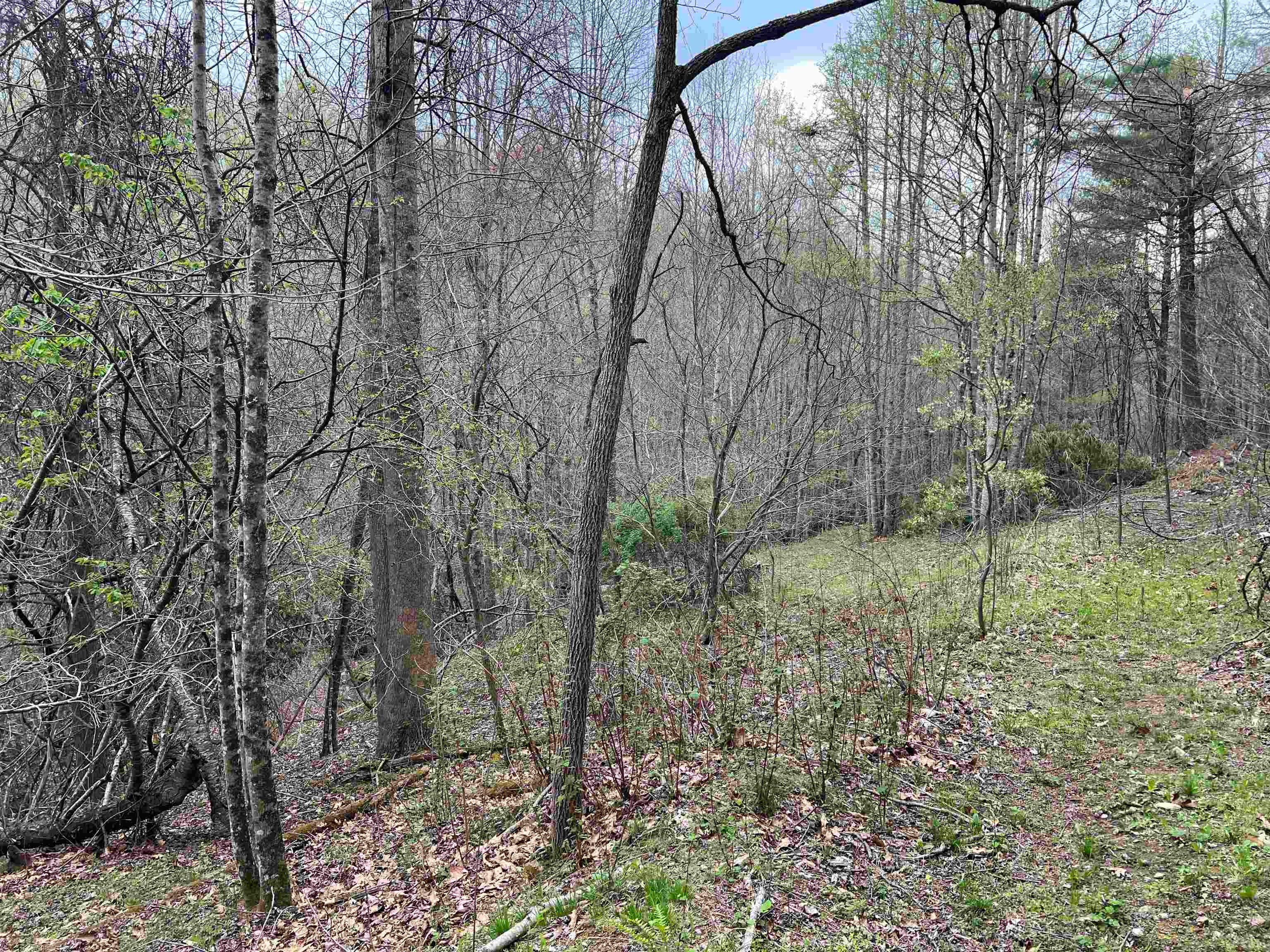 Tbd Little River Crossing Riner, VA 24149 - Photo 3 of 4 Gallery Image 3