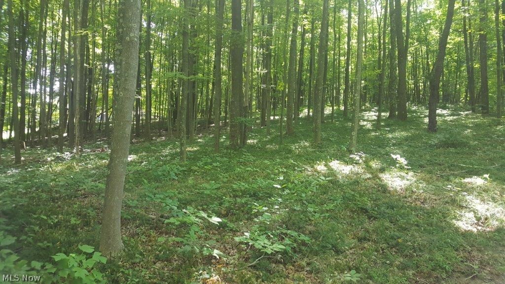 5846 Holmes Church Road Northeast New Philadelphia, OH 44663 - Photo 31 of 34