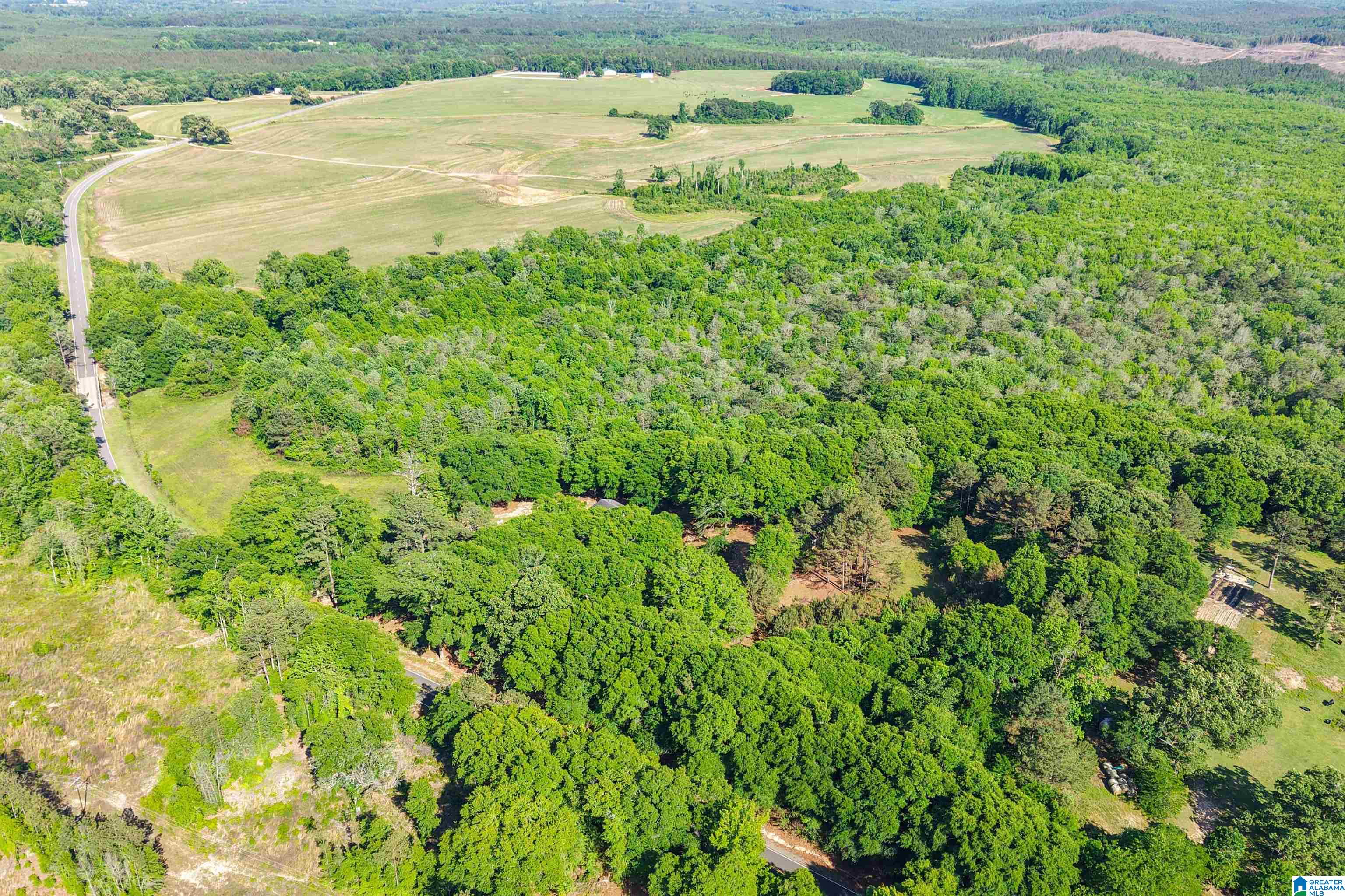 15038 Northside Road Northport, AL 35475 - Photo 36 of 62