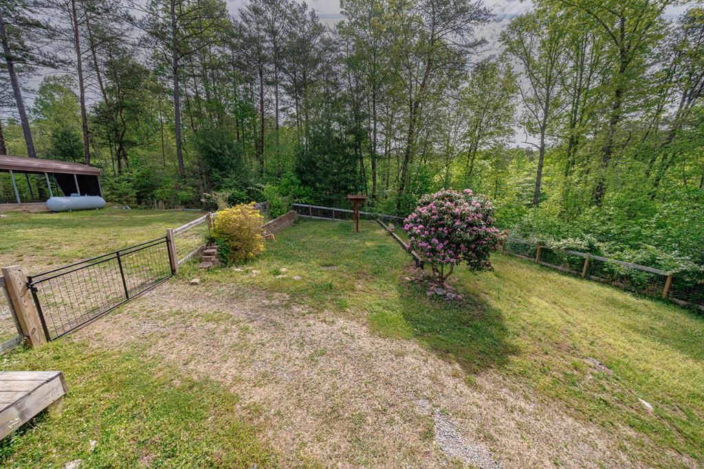 1881 John Smith Road East Blairsville, GA 30512 - Photo 27 of 65