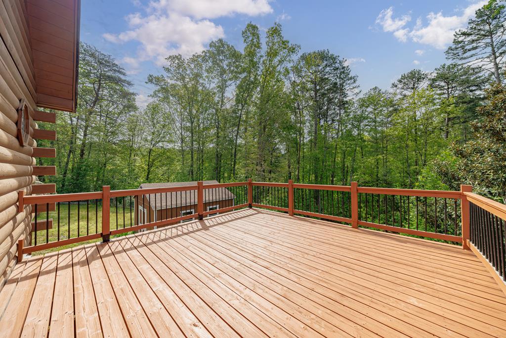 1881 John Smith Road East Blairsville, GA 30512 - Photo 28 of 65