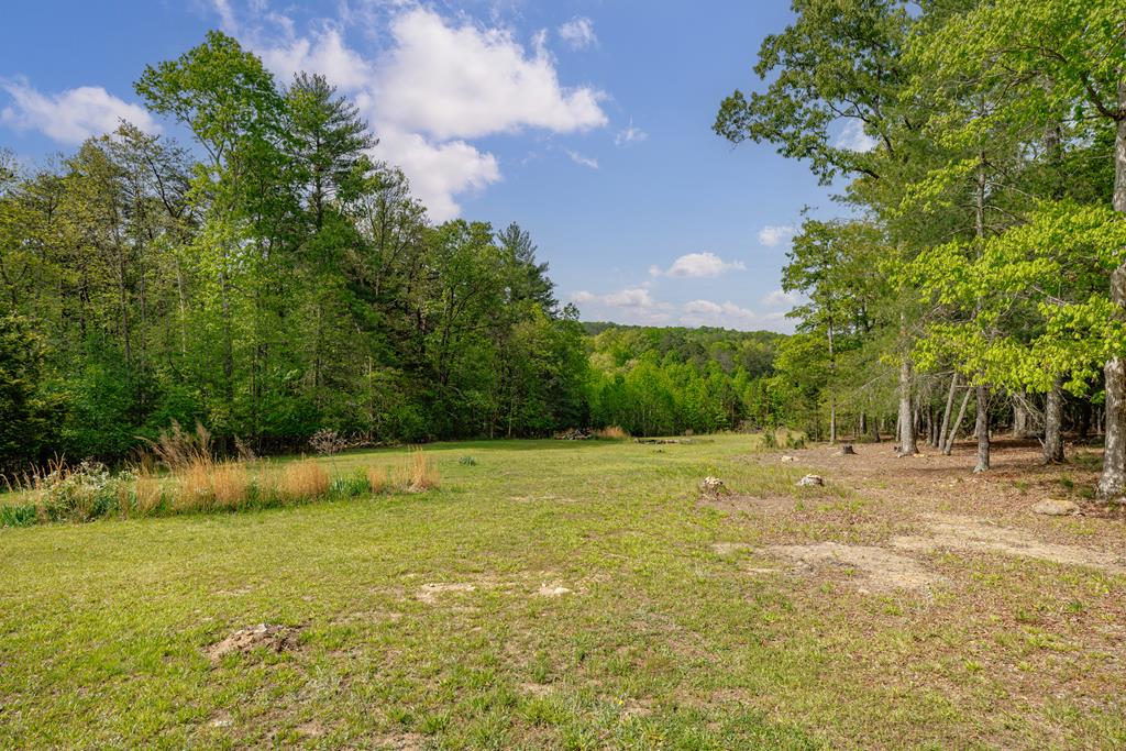 1881 John Smith Road East Blairsville, GA 30512 - Photo 29 of 65