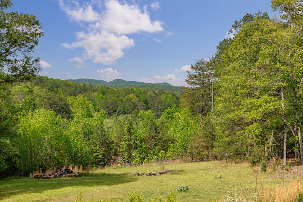 1881 John Smith Road East Blairsville, GA 30512 - Photo 30 of 65