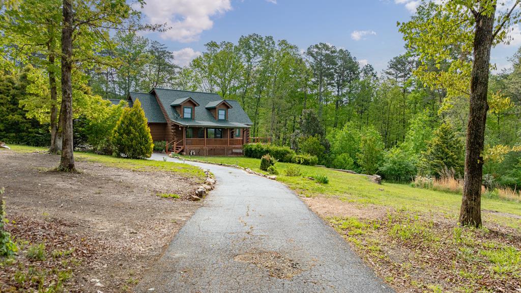 1881 John Smith Road East Blairsville, GA 30512 - Photo 50 of 65