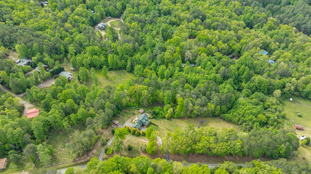 1881 John Smith Road East Blairsville, GA 30512 - Photo 57 of 65