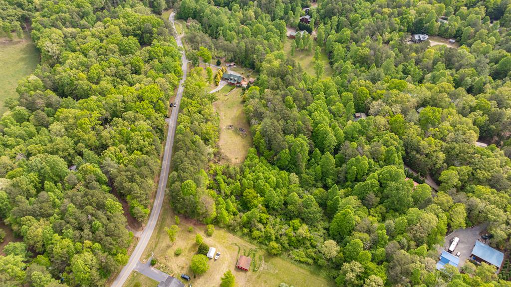 1881 John Smith Road East Blairsville, GA 30512 - Photo 58 of 65