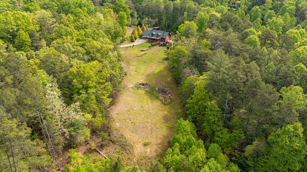 1881 John Smith Road East Blairsville, GA 30512 - Photo 59 of 65