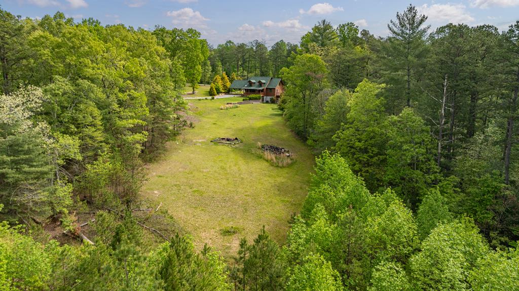 1881 John Smith Road East Blairsville, GA 30512 - Photo 60 of 65