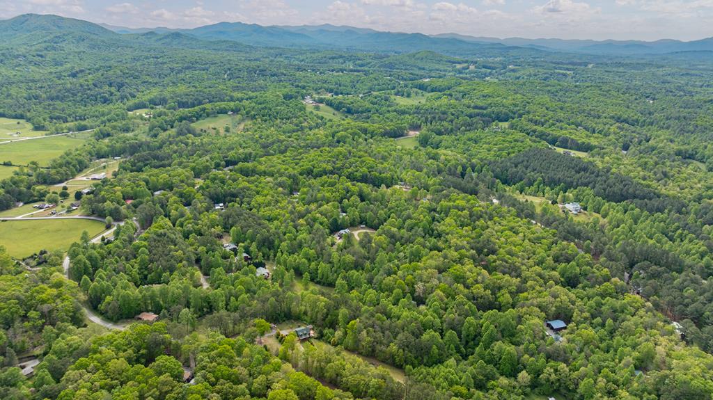 1881 John Smith Road East Blairsville, GA 30512 - Photo 63 of 65