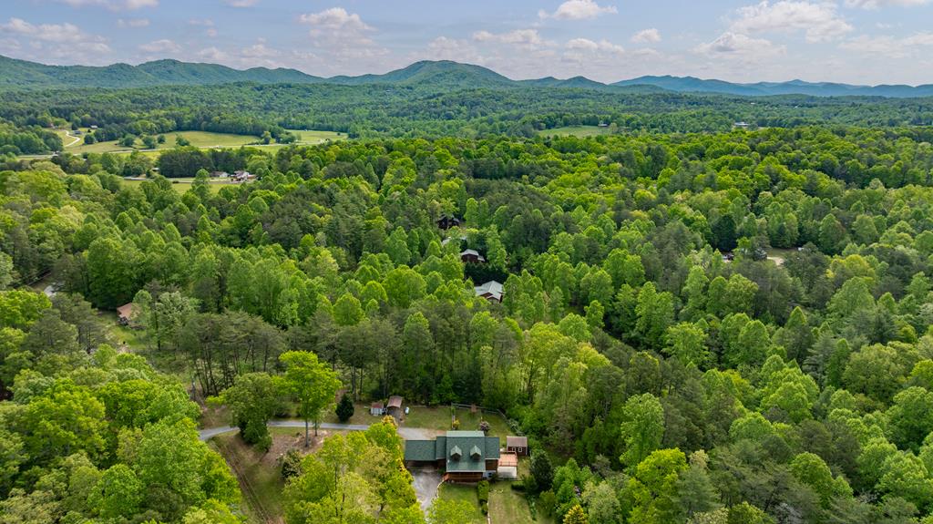 1881 John Smith Road East Blairsville, GA 30512 - Photo 64 of 65