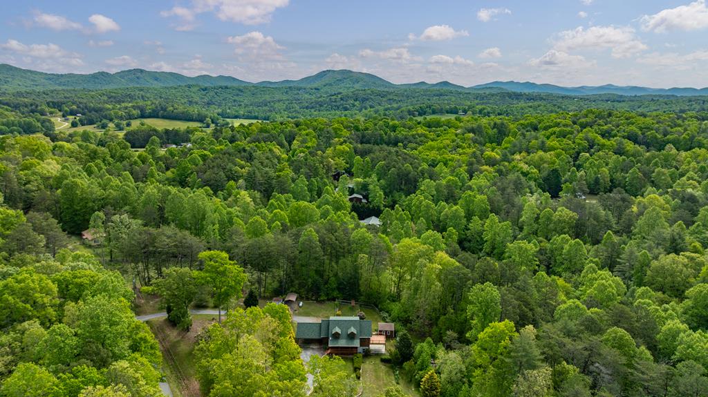 1881 John Smith Road East Blairsville, GA 30512 - Photo 65 of 65