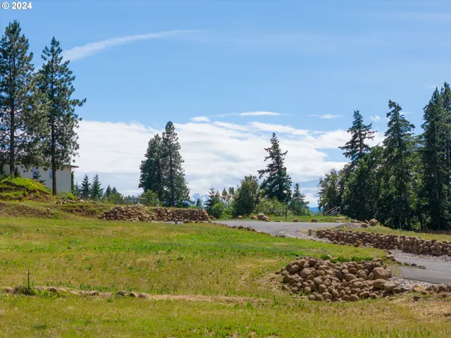 a view of outdoor space with mountain view