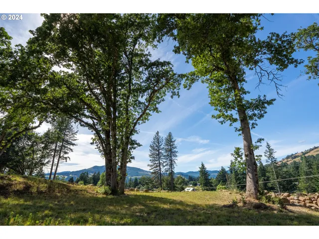 a view of a yard with a tree