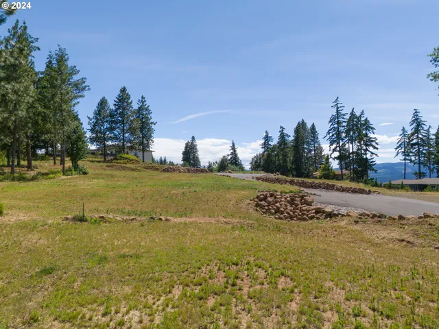 a view of entryway wooden floor and a outdoor space