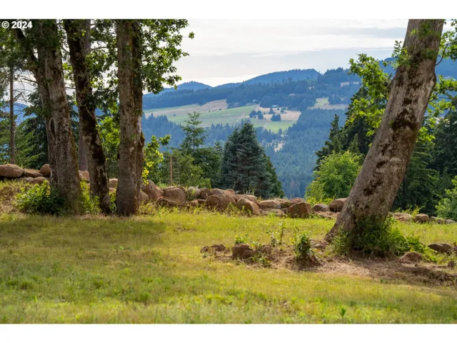a view of an outdoor space and mountain view