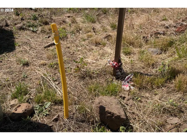 $329,000 | Painted Sky Lane, Unit 3, White Salmon, WA 98672