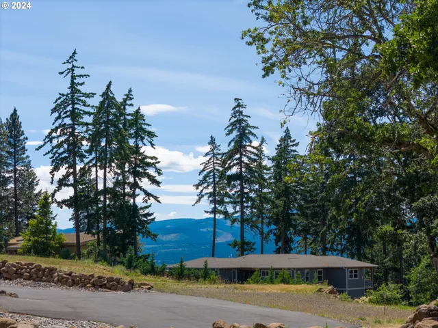 a view of a yard with plants and trees