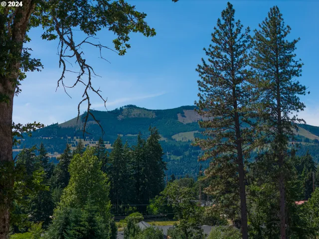 a view of tree in front of a house