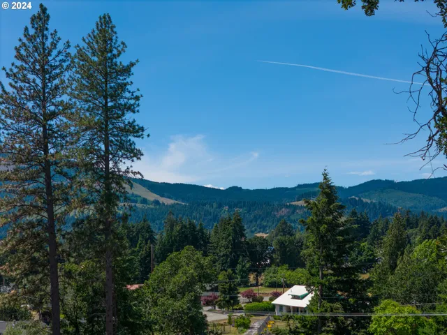 a view of a bunch of trees and bushes