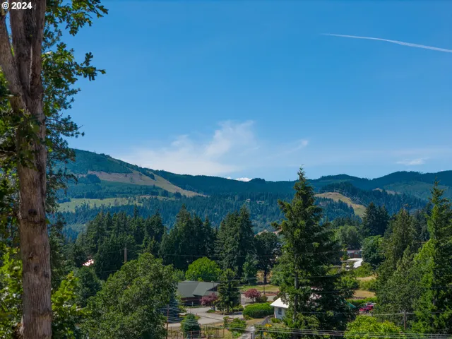 a view of a city with lush green forest
