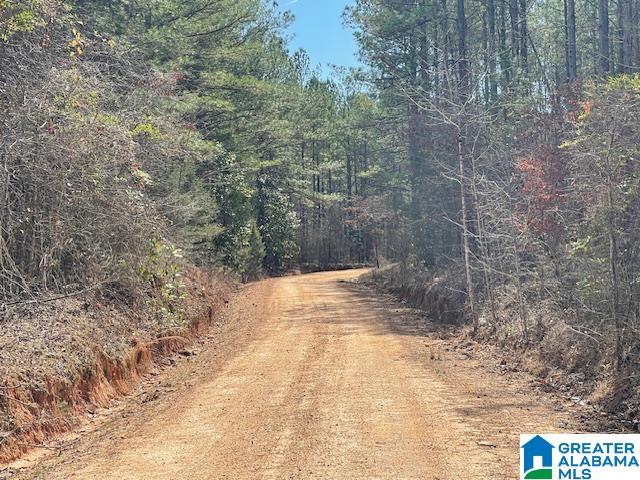 140 County Road, Unit 15± AC Wadley, AL 36276 - Photo 1 of 5