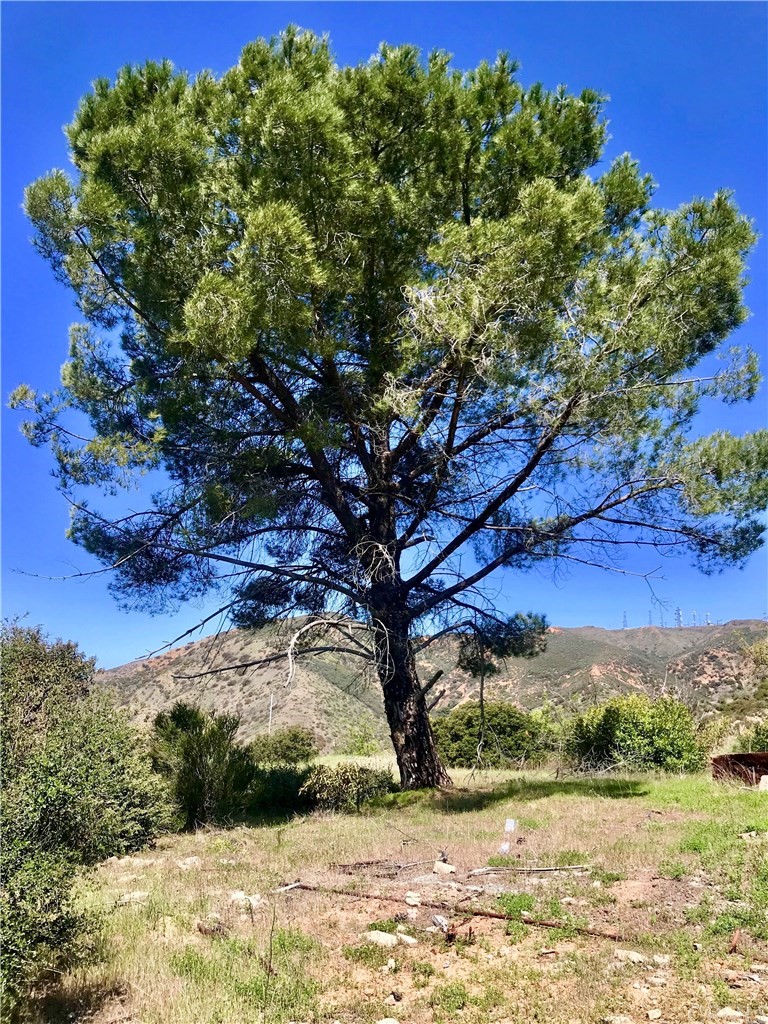 20 North Main Divide Road Silverado, CA 92676 - Photo 12 of 40