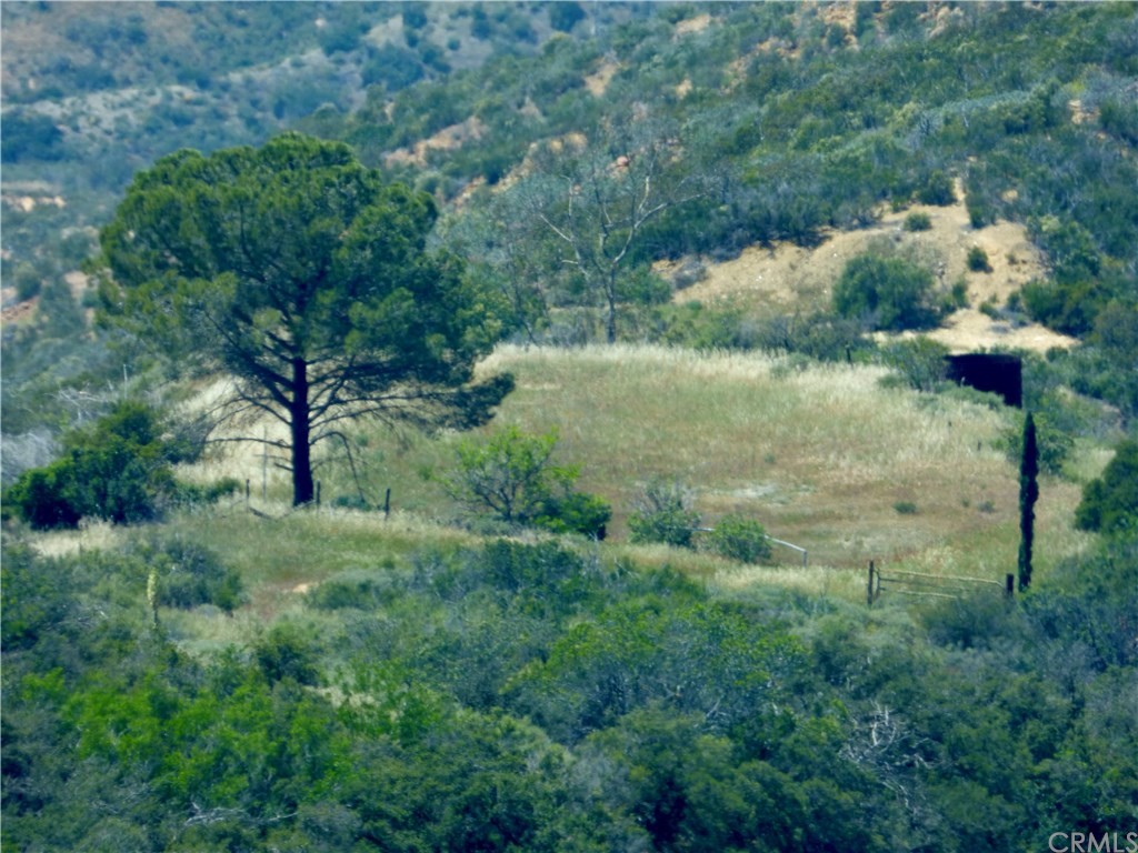 20 North Main Divide Road Silverado, CA 92676 - Photo 17 of 40