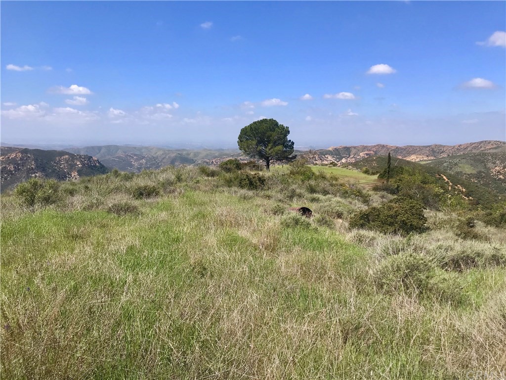 20 North Main Divide Road Silverado, CA 92676 - Photo 18 of 40