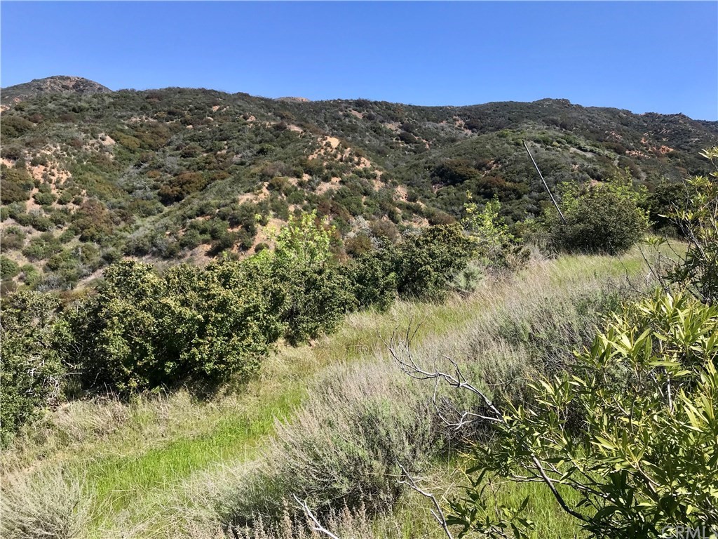 20 North Main Divide Road Silverado, CA 92676 - Photo 2 of 40