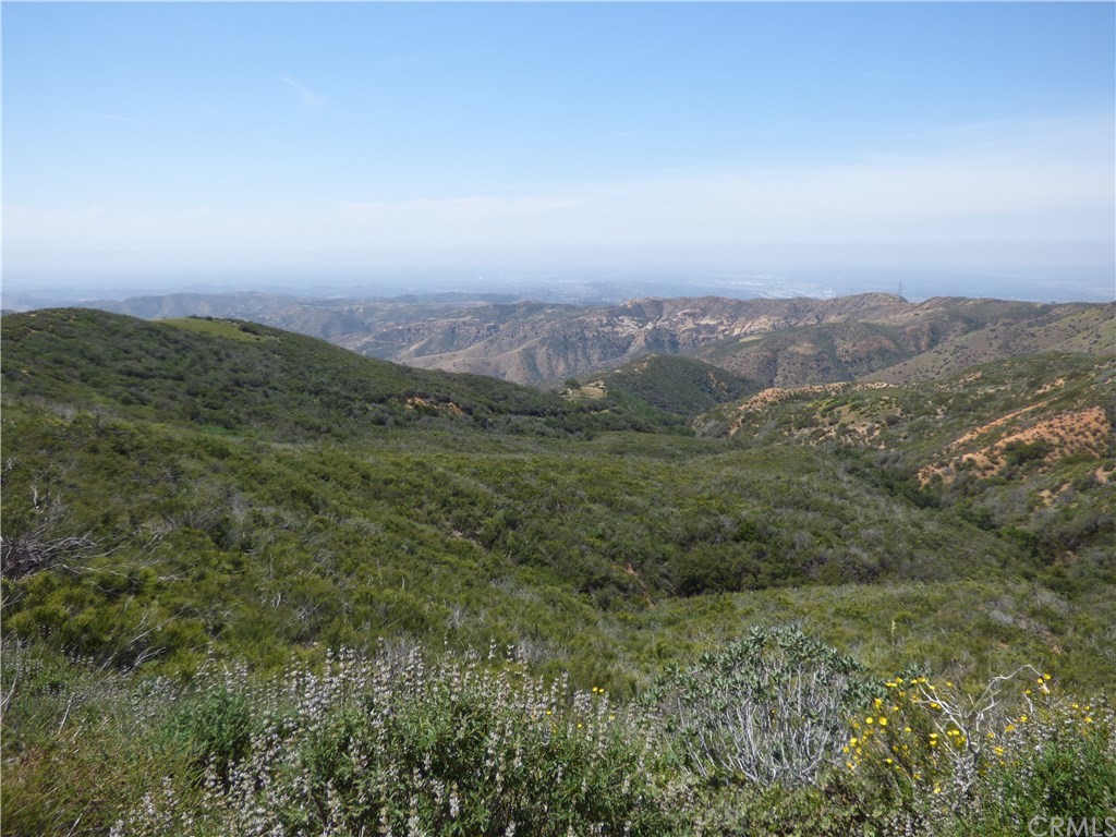 20 North Main Divide Road Silverado, CA 92676 - Photo 31 of 40