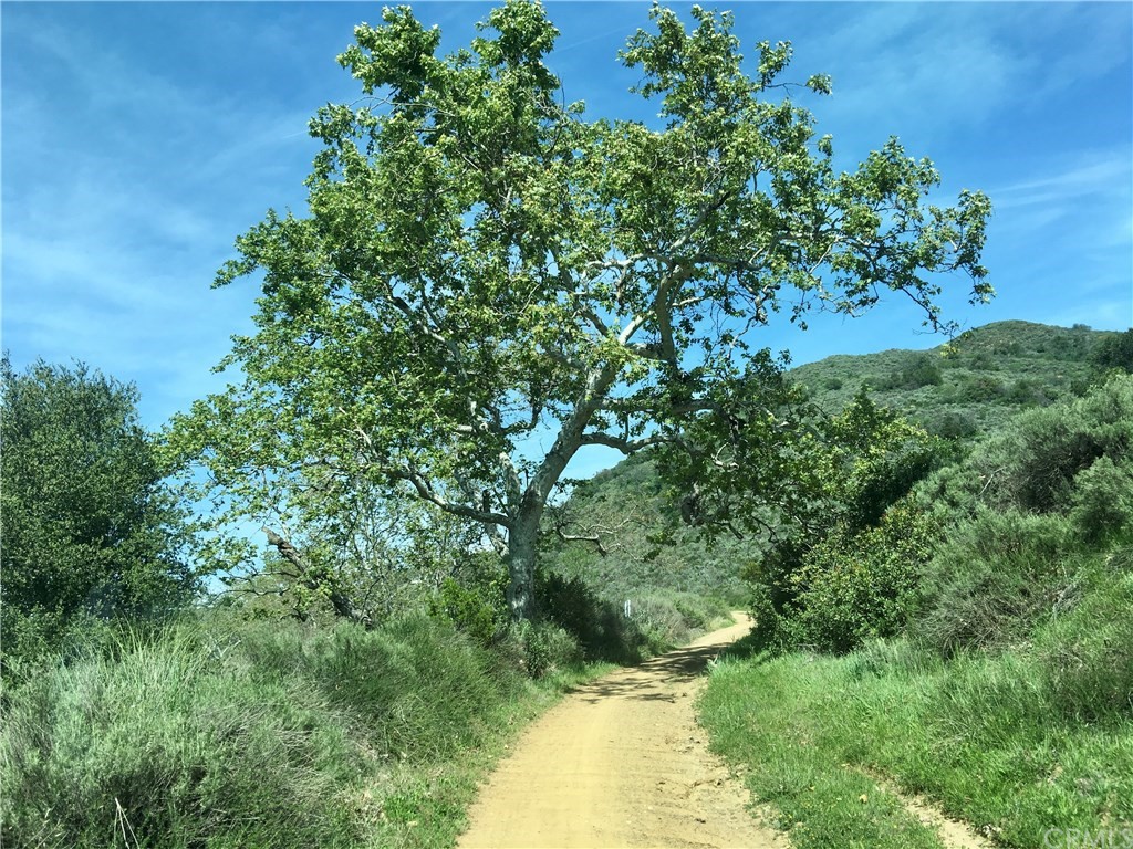 20 North Main Divide Road Silverado, CA 92676 - Photo 35 of 40 On the drive up from Blackstar Canyon Gate