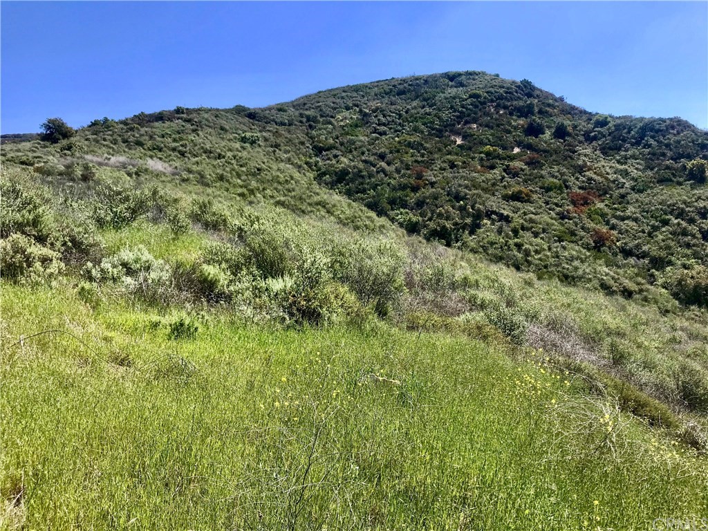 20 North Main Divide Road Silverado, CA 92676 - Photo 38 of 40