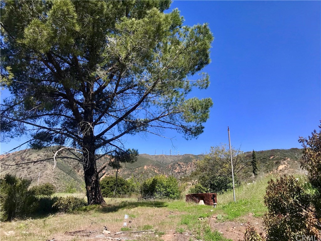 20 North Main Divide Road Silverado, CA 92676 - Photo 39 of 40