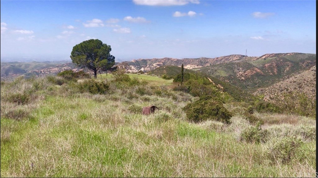 20 North Main Divide Road Silverado, CA 92676 - Photo 40 of 40